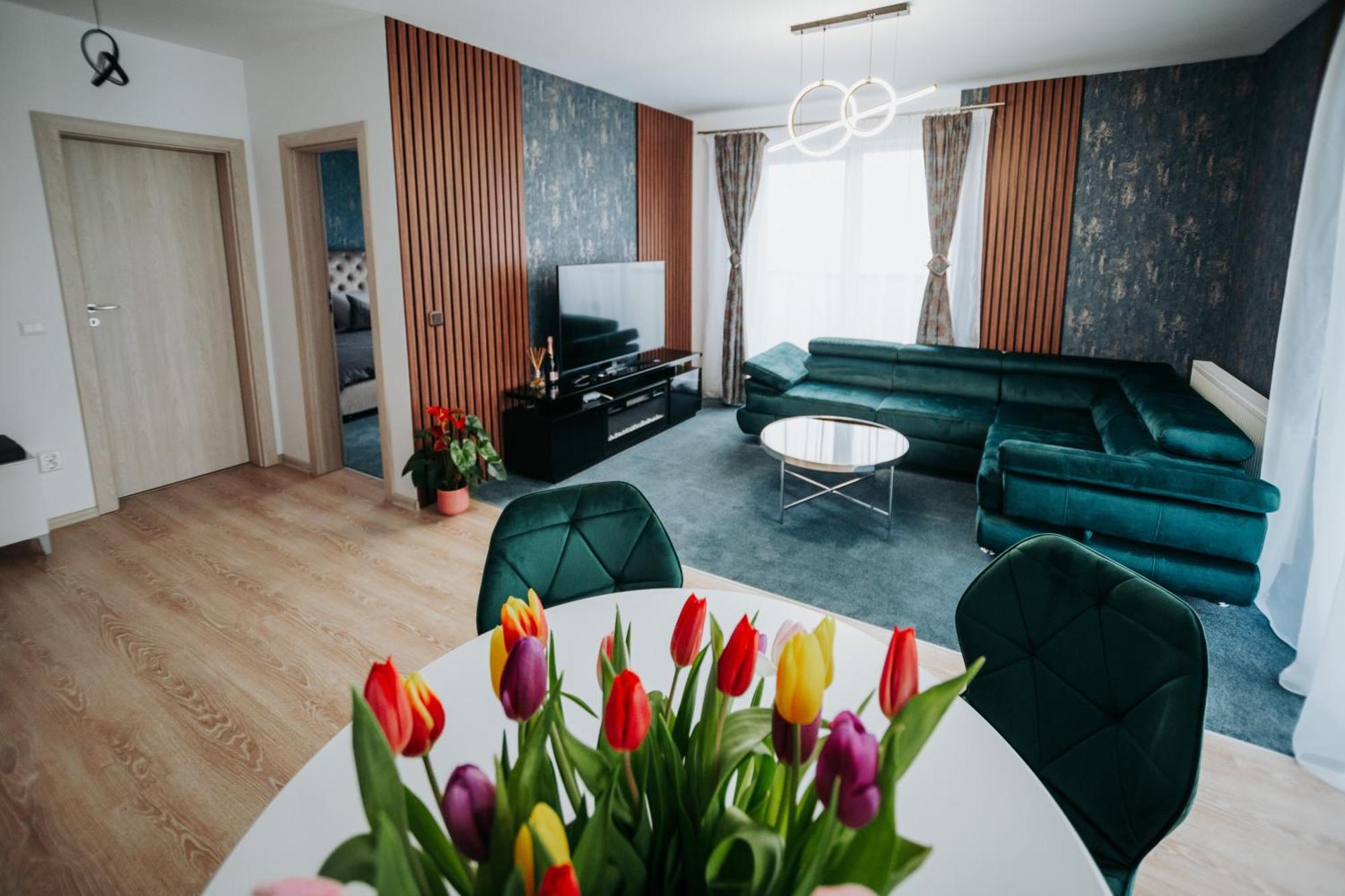 Luxury Penthouse Belvedere Sibiu